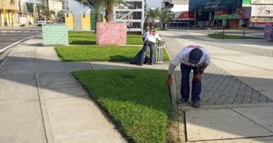 realizan poda y limpieza en Av. Bolívar de Valencia