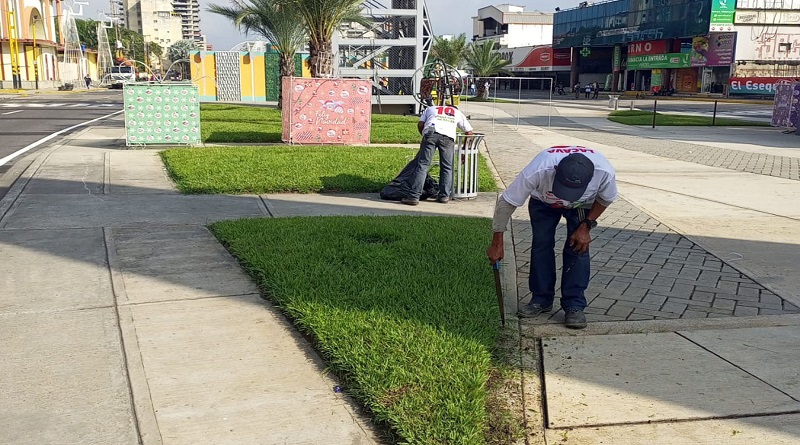 realizan poda y limpieza en Av. Bolívar de Valencia