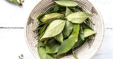Conozca los beneficios del laurel para la salud