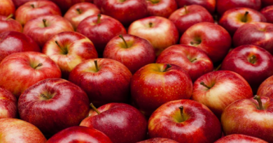 ¿Cuáles son los beneficios de comer una manzana al día y en ayunas?