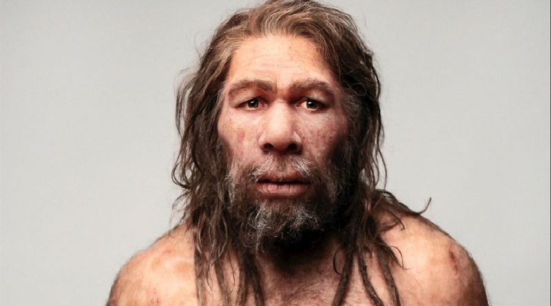 Aaseguran que el comportamiento “madrugador” descendería de los Neandertales