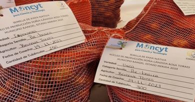 Exhiben riqueza gastronómica de Mérida en el XII Ecofestival de la papa nativa