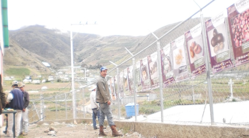 Campesinos del páramo mostrarán desarrollo productivo en EcoFestival de la Papa Nativa
