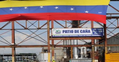 Más de 700 mil toneladas de caña estima moler central Las Majaguas en Portuguesa