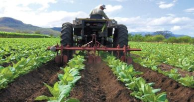 Atienden más de 300 productores con programas formativos en Miranda en el 2023