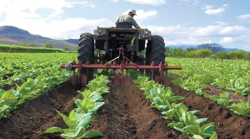 Atienden más de 300 productores con programas formativos en Miranda en el 2023