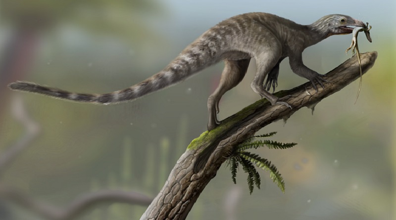 Científicos chinos y brasileños anuncian nueva especie de pterosaurio