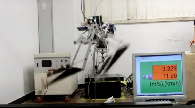 Crean robot basado en la anatomía de un velociraptor