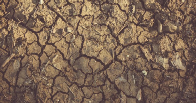 Aseguran que las sequías son los desastres naturales más peligrosos
