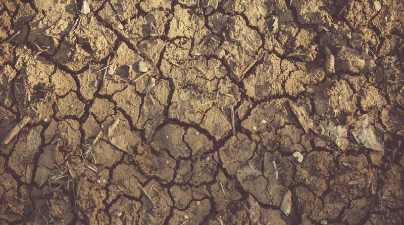 Aseguran que las sequías son los desastres naturales más peligrosos