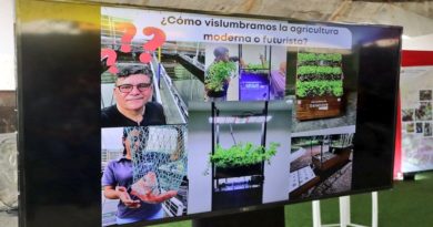 Producción agrourbana es pilar para el abastecimiento nacional