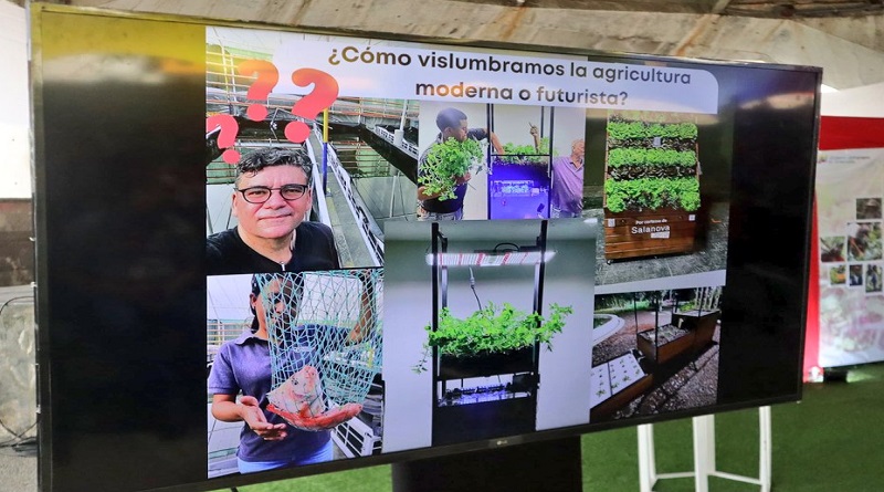 Producción agrourbana es pilar para el abastecimiento nacional