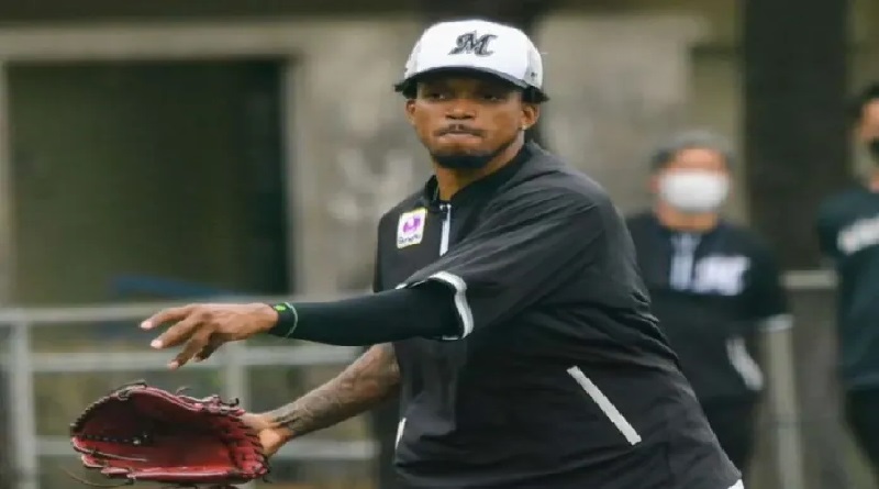 Nuevos jugadores se unen al equipo Tigres de Aragua