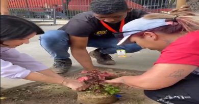 Ejecutan jornada de siembra de plantas ornamentales en Mintur