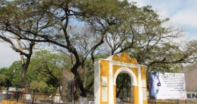 Juramento del Samán de Güere promesa de amor y lealtad a El Libertador