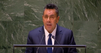 Venezuela en nombre del Grupo de Amigos de la Carta ONU exige cese al fuego en Gaza