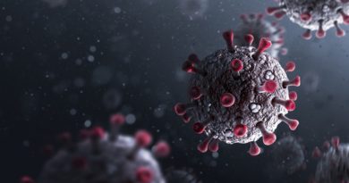 OMS revela el significado del término “enfermedad X”