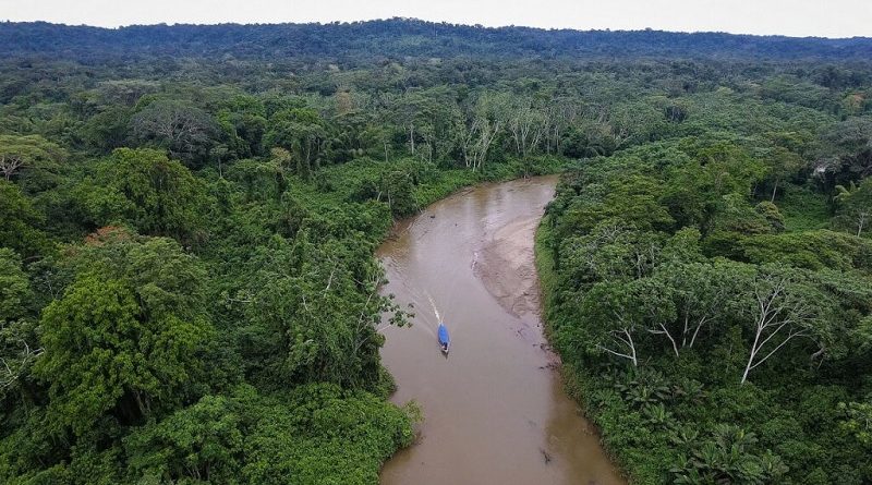 Amazonía ecuatoriana esconde antiguas ciudades agrarias perdidas