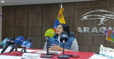 Aragua logró el 90% de ocupación hotelera durante la temporada navideña