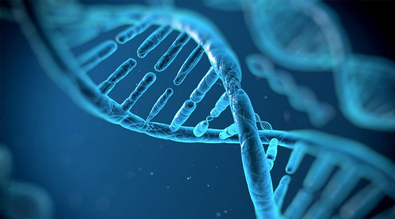 Elaboran catálogo de ADN oceánico con más de 317 millones de grupos genéticos