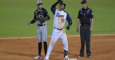 Yermín Mercedes comandó triunfo de Tigres ante Leones