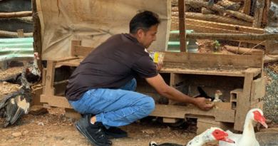Impulsan agroforestería en Desarrollo Agroturistico Valle de Beraca en Caricuao