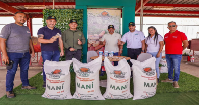 Anzoátegui produce 25 % del consumo nacional de maní