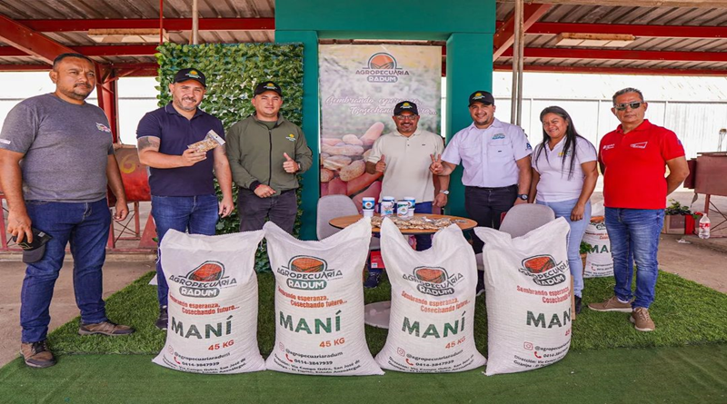 Anzoátegui produce 25 % del consumo nacional de maní