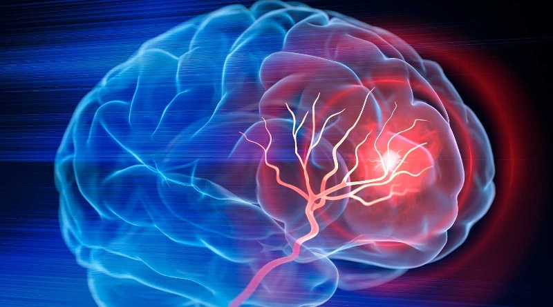 Expertos exponen que el asombro disminuye a medida que el cerebro se desarrolla