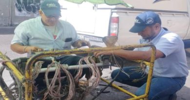 Restituyen servicios de telefonía e internet en parroquia El Recreo de Caracas