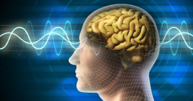 Estudio sugiere que el cerebro continúa en desarrollo después del nacimiento