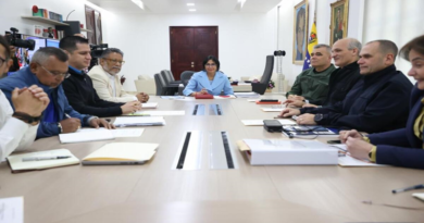 Consejo de Vicepresidentes Sectoriales evalúa líneas estratégicas para 2024