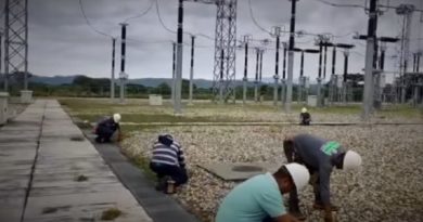 Corpoelec alcanzó control de vegetación en más 85% de metas durante 2023