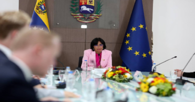 Vicepresidenta Delcy Rodríguez se reúne con representantes de la UE