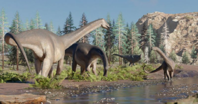 Descubren restos fósiles de un dinosaurio de cuello largo y pico de pato