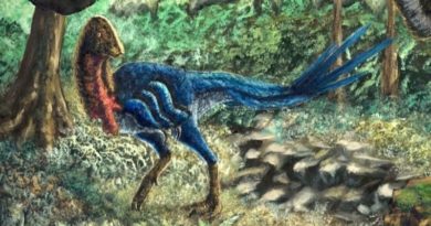 Descubren dinosaurio que vivió antes del impacto del meteorito Chicxulub