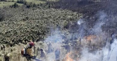 Incendio forestal consume reserva ecológica en Ecuador
