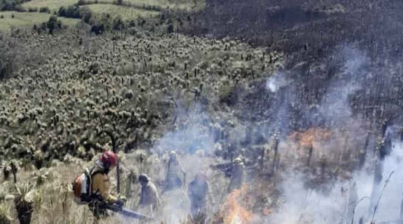 Incendio forestal consume reserva ecológica en Ecuador