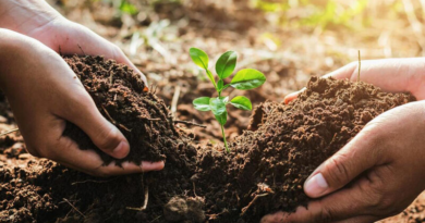 Escuela Bolivariana Sorocaima en Aragua realizará taller sobre agricultura regenerativa