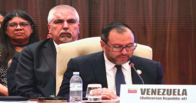 Venezuela exhorta en Mnoal a defender el derecho de los pueblos a vivir en paz