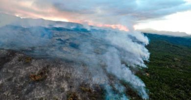 Incendio arrasa más de mil hectáreas en parque nacional Los Alceres en Argentina