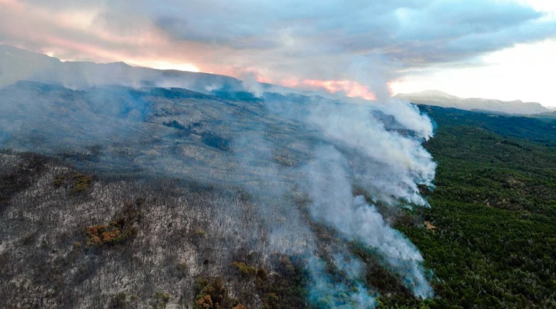 Incendio arrasa más de mil hectáreas en parque nacional Los Alceres en Argentina