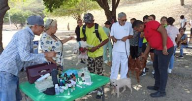 Atienden a más de 100 mascotas mediante Misión Nevado en Aragua