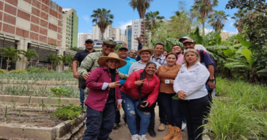 Organopónico Bolívar 1 comprometido con la producción agrourbana de Caracas