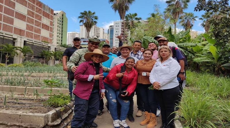 Organopónico Bolívar 1 comprometido con la producción agrourbana de Caracas