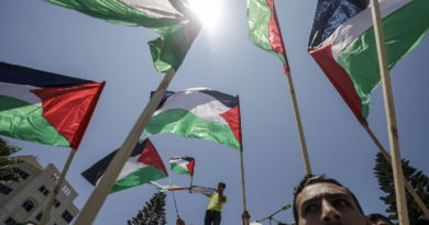 Venezuela reitera en la ONU solidaridad con el pueblo palestino