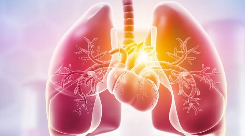 Siete métodos naturales par limpiar los pulmones
