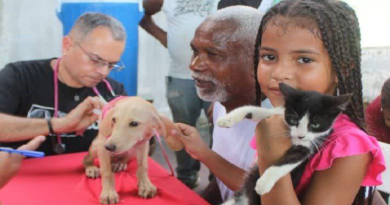 Atienden a mascotas de Miranda con jornada veterinaria