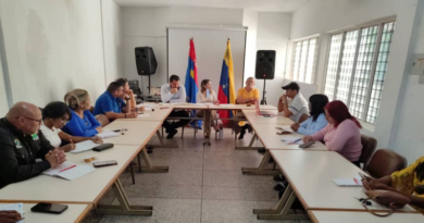 Revisan estrategias para fortalecer la Misión Venezuela Mujer en Falcón