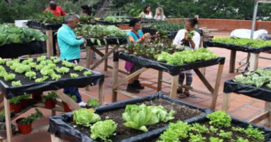 Otorgarán certificaciones de calidad a producción agrourbana